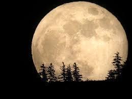 moon.jpg